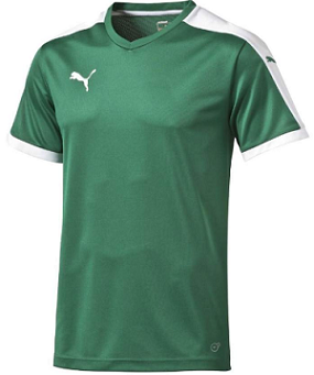 maillot cssa.png