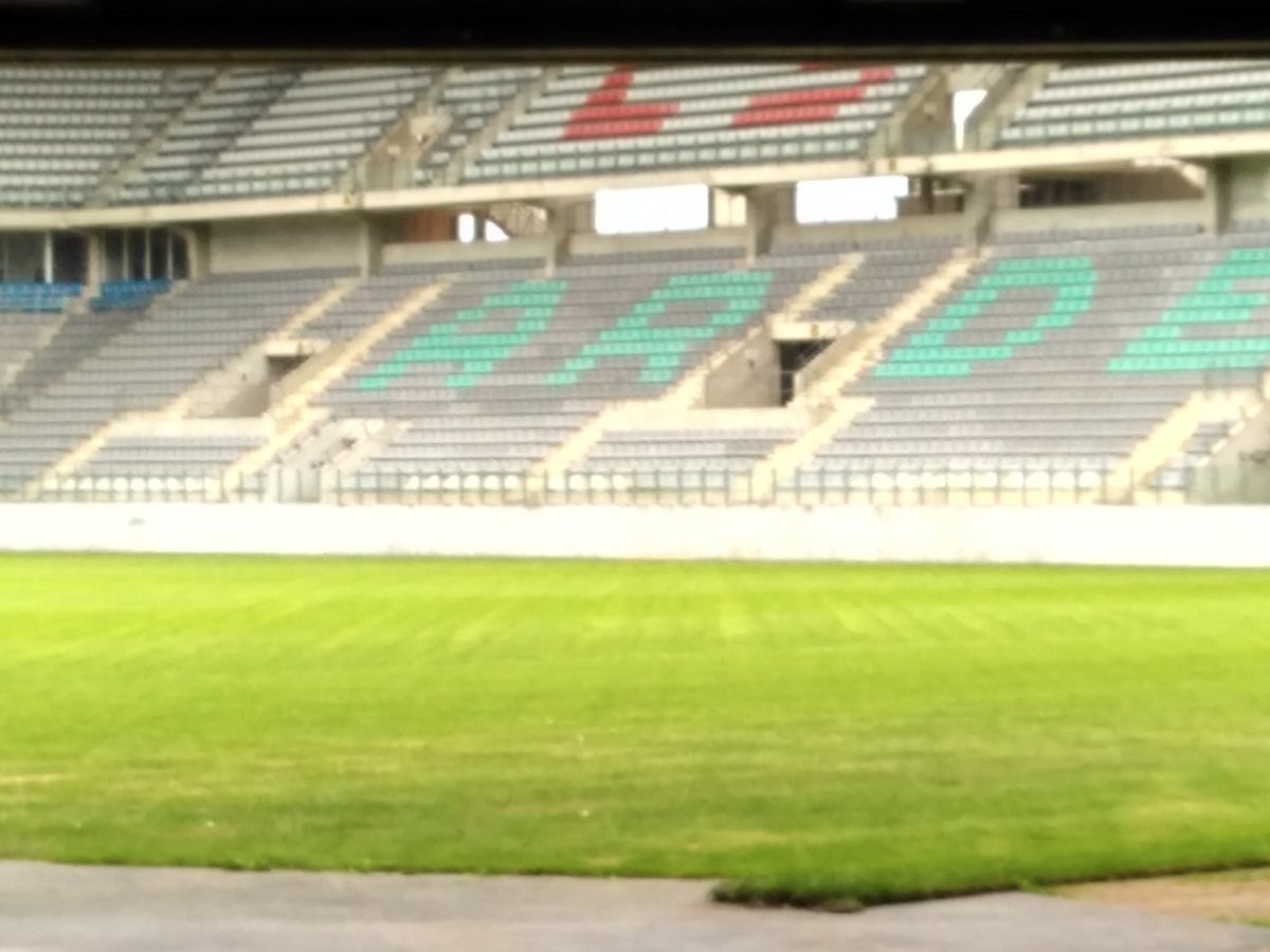 pelouse stade 9-82.jpg